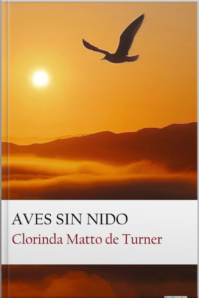 Aves Sin Nido