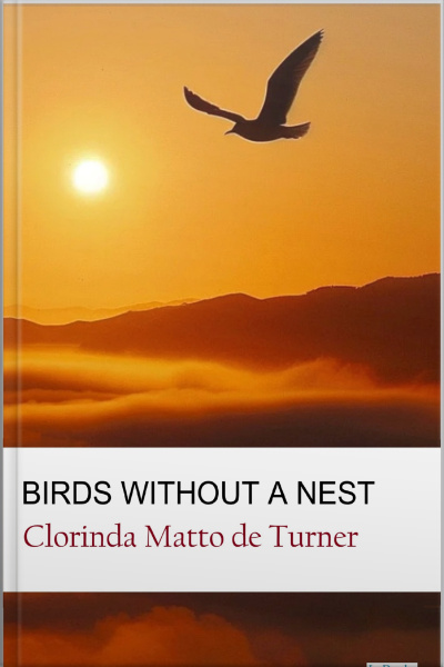 Birds Without A Nest