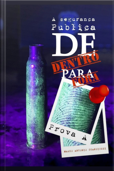 A Segurança Pública De Dentro Para Fora