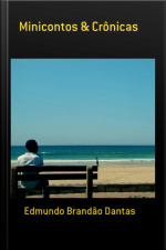 Minicontos  Crônicas
