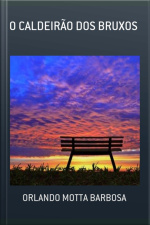 O Caldeirão Dos Bruxos