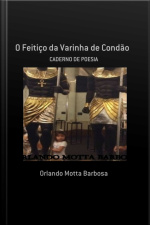 O Feitiço Da Varinha De Condão