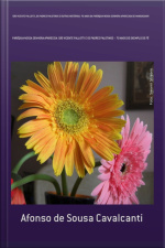 São Vicente Pallotti, Os Padres Palotinos E Outras Histórias: 70 Anos Da Paróquia Nossa Senhora Aparecida De Mandaguari