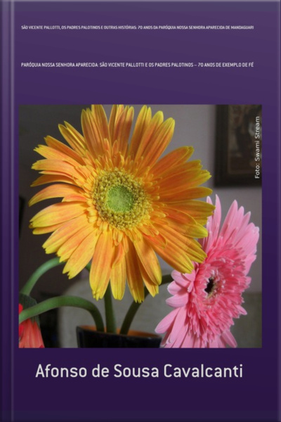 São Vicente Pallotti, Os Padres Palotinos E Outras Histórias: 70 Anos Da Paróquia Nossa Senhora Aparecida De Mandaguari