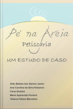 Plano Financeiro Pé Na Areia Petiscaria