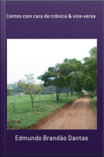 Contos Com Cara De Crônica  Vice-versa