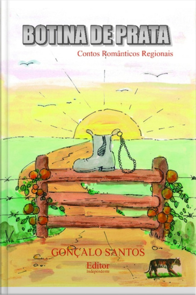 Botina De Prata - Contos Românticos
