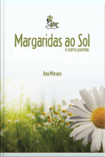 Margaridas Ao Sol