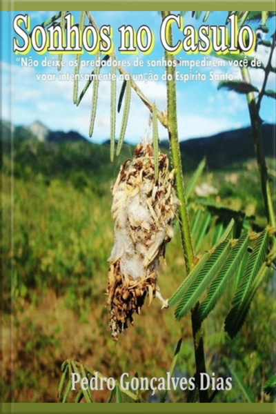 Sonhos No Casulo