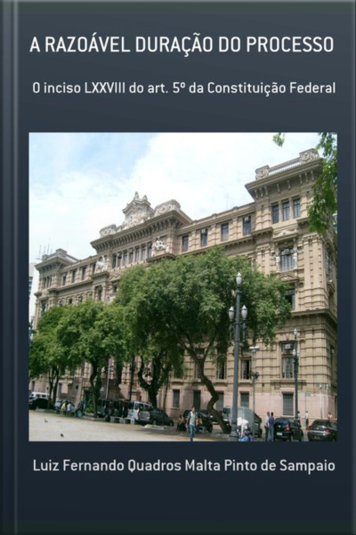 A Razoável Duração Do Processo
