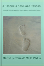A Essência Dos Doze Passos