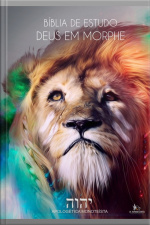 Bíblia De Estudo