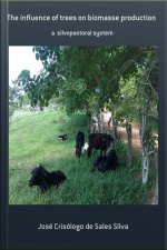 The Influence Of Trees On Biomasse Production