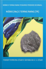 Nióbio E Terras Raras Tesouros Perdidos Do Brasil