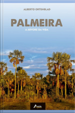 Palmeira