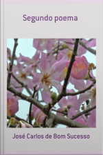 Segundo Poema