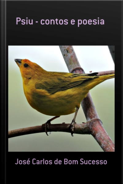 Psiu - Contos E Poesia