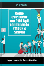 Como Estruturar Um Pmo Ágil Combinando Pmbok E Scrum