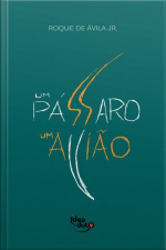 Um Pássaro, Um Avião