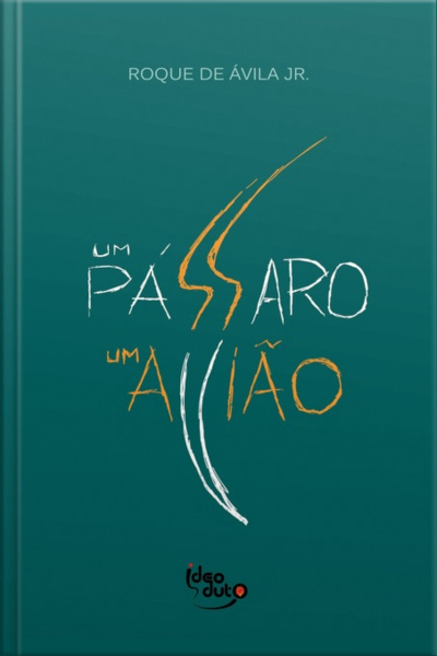 Um Pássaro, Um Avião