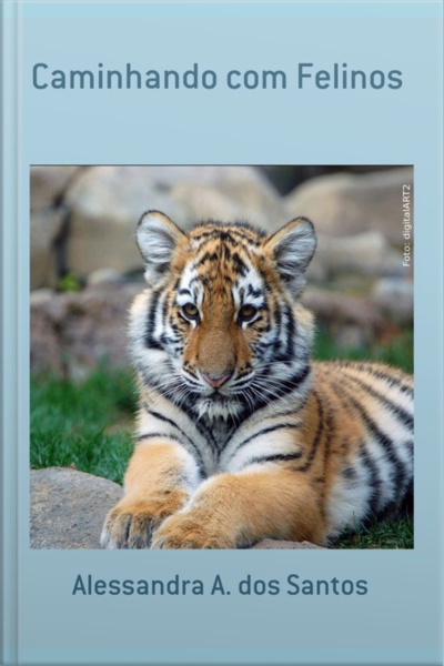 Caminhando Com Felinos