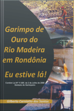 Garimpo De Ouro Do Rio Madeira Em Rondônia