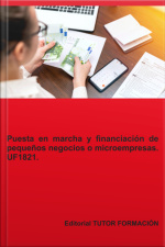 Puesta En Marcha Y Financiación De Pequeños Negocios O Microempresas. Uf1821.