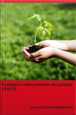 Ecología E Interpretación Del Paisaje. Uf0733.