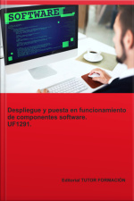 Despliegue Y Puesta En Funcionamiento De Componentes Software. Uf1291.