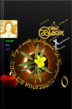 Mery-à-moda Solseguindo Limagnetizado