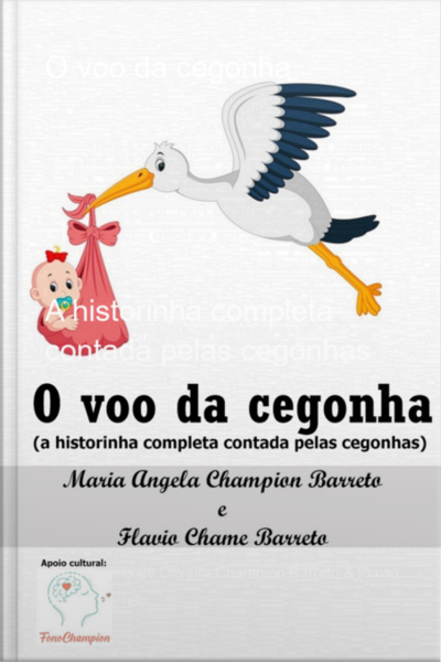 O Voo Da Cegonha