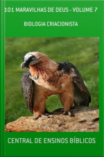 101 Maravilhas De Deus - Volume 7