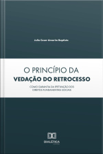 O Princípio Da Vedação Do Retrocesso Como Garantia Da Efetivação Dos Direitos Fundamentais Sociais