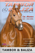 Tambor  Baliza Edição Nº 24