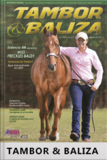 Tambor  Baliza Edição Nº 27