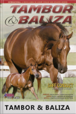 Tambor  Baliza Edição Nº 28