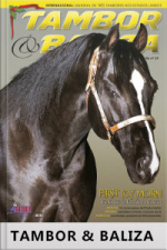 Tambor  Baliza Edição Nº 29