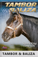 Tambor  Baliza Edição Nº 31