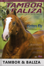 Tambor  Baliza Edição Nº 38