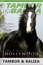 Tambor  Baliza Edição Nº 44