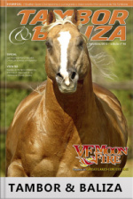 Tambor  Baliza Edição Nº 46