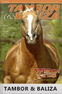 Tambor  Baliza Edição Nº 46