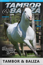 Tambor  Baliza Edição Nº 73