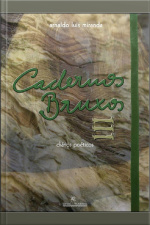 Cadernos Bruxos Iii: Diários Poéticos