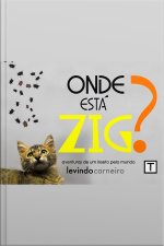 Onde Está Zig?