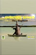 The Adventures Of Bumbo: The Elephant