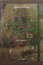 Cadernos Bruxos Ii: Diários Poéticos