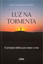 Luz na tormenta: 12 princípios bíblicos para vencer a crise