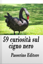 59 Curiosità Sul Cigno Nero