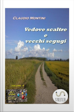 Vedove Scaltre E Vecchi Segugi: Gli Atomi: Micro-romanzi Per Chi Va Di Fretta Volume 4